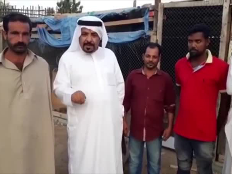 اضغط لمشاهدة الفيديو: إماراتي سجن مجموعة عمال داخل "قن دجاج"!
